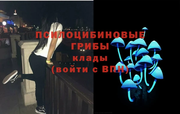 ALPHA PVP Беломорск