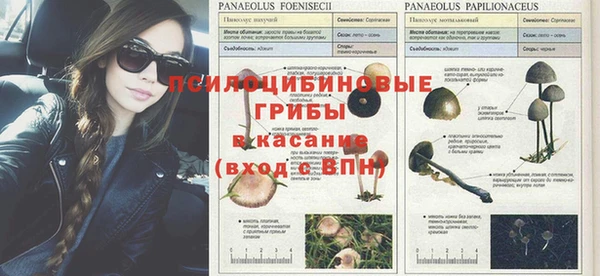 прущая мука Белокуриха